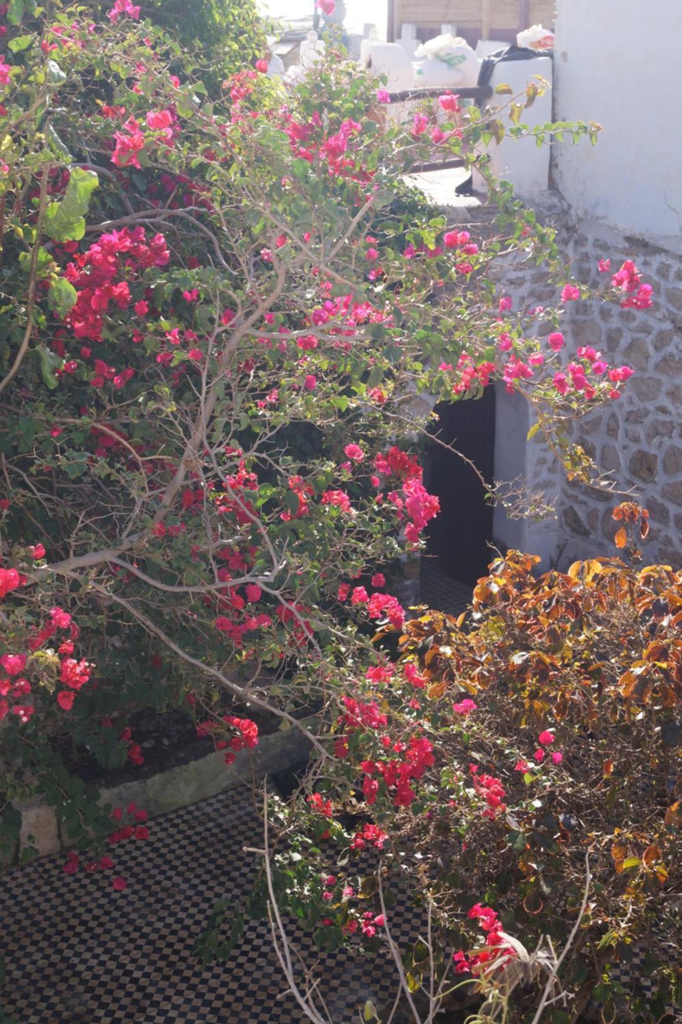 Sidi Kaouki Perla Hotel Buitenkant foto