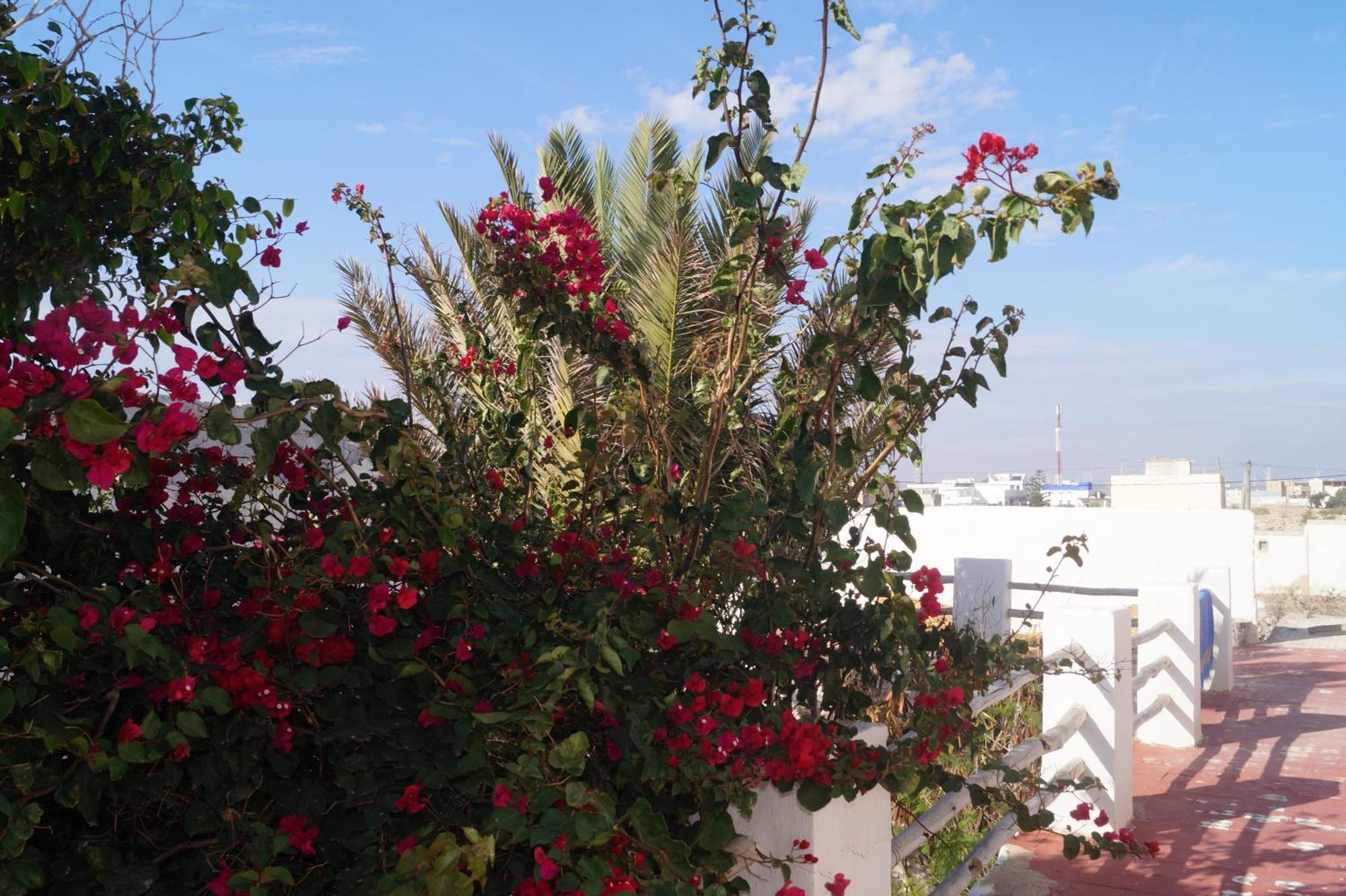 Sidi Kaouki Perla Hotel Buitenkant foto