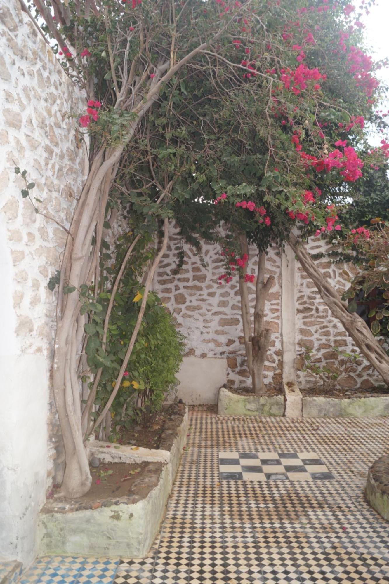 Sidi Kaouki Perla Hotel Buitenkant foto