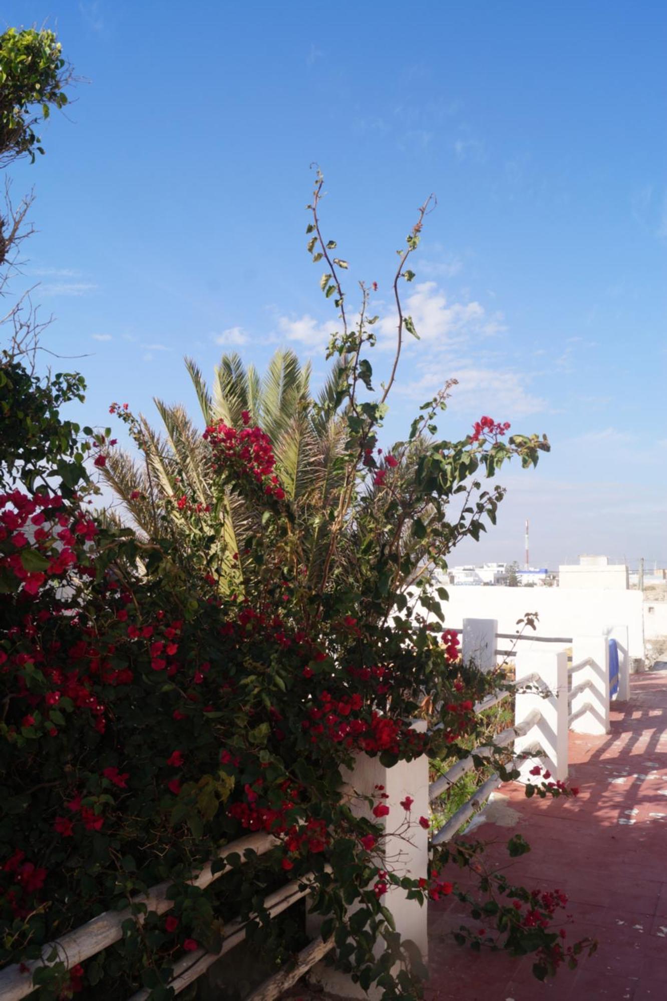 Sidi Kaouki Perla Hotel Buitenkant foto
