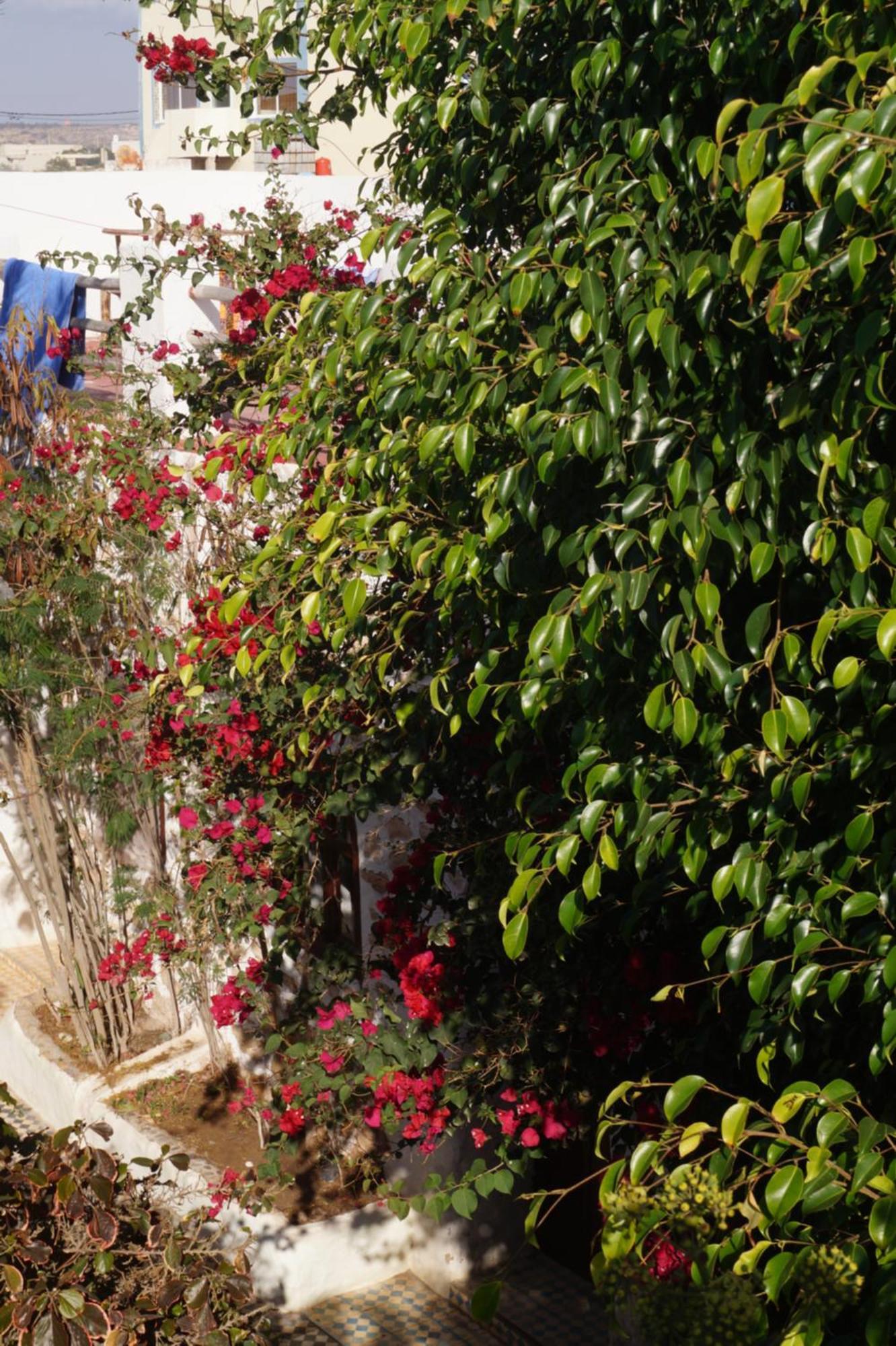 Sidi Kaouki Perla Hotel Buitenkant foto